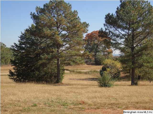 0 County Road 329 unit 16 547705, Wedowee, AL 36278 - photo 1