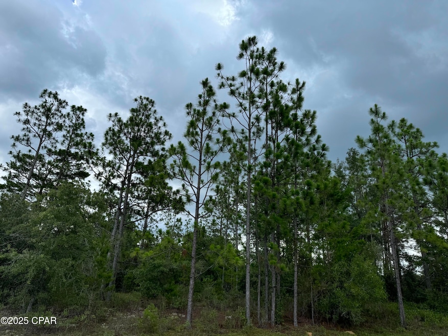 0000 Tippet Dr, Chipley, FL 32428 - photo 1