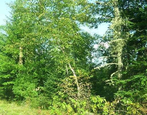 59 Gray Hill Rd, Dover-Foxcroft, ME 04426 - photo 1