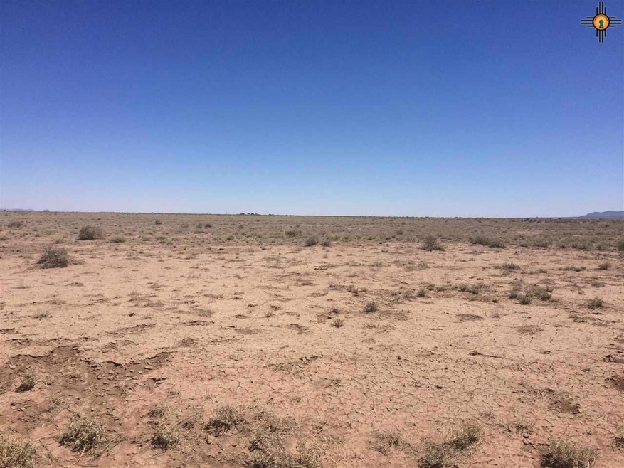 0000 Coyote Rd SE, Deming, NM 88030 - photo 1