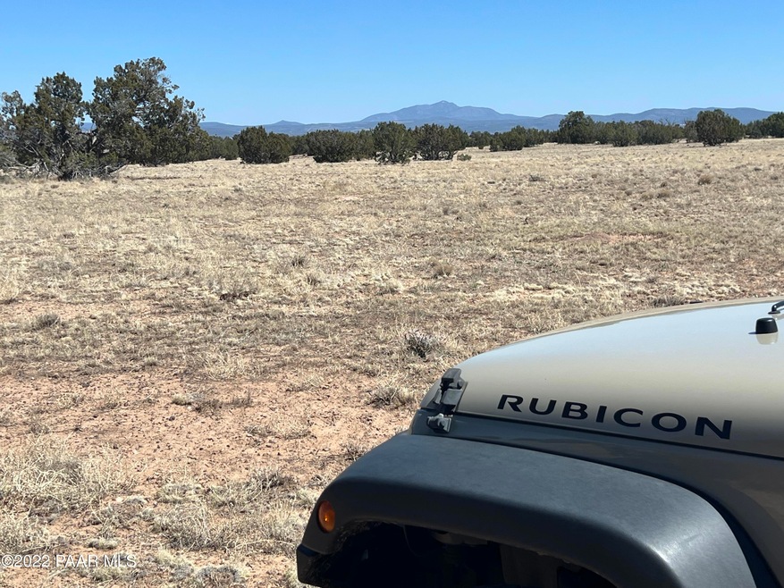 13 SW Chain Ranch, Ash Fork, AZ 86320 - photo 1