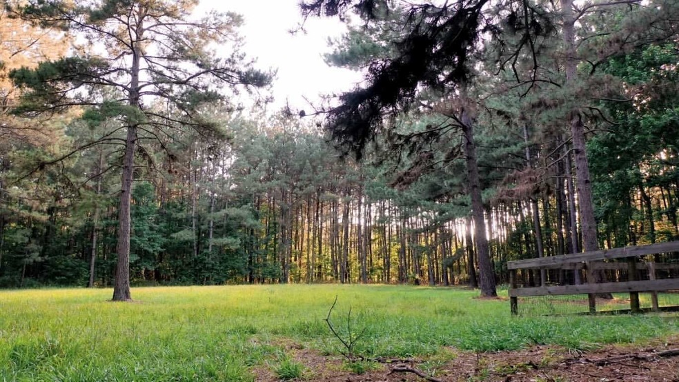 57 County Road 3797, Cleveland, TX 77328 - photo 1