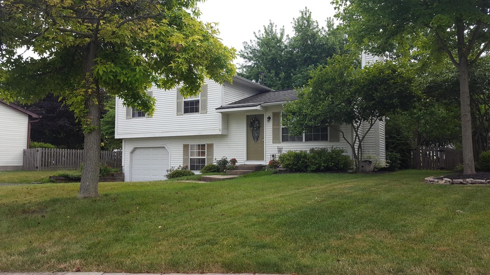 4951 Cavan Ct 1