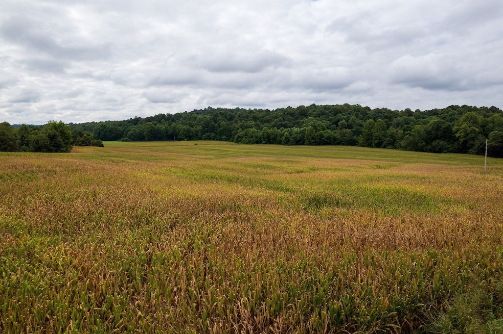 0 Halls Creek Rd, Olaton, KY 42361 - photo 1