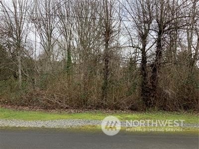 0 17th Ave SW, Seattle, WA 98106 - photo 1