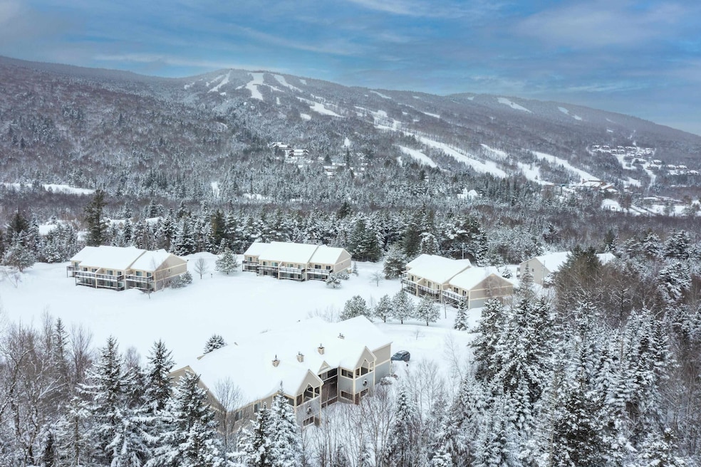 Aerial View of Stickney Circle w/Views to Ski Area