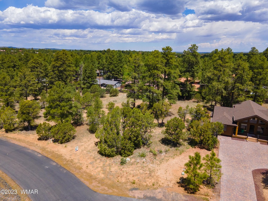 DJI_0343