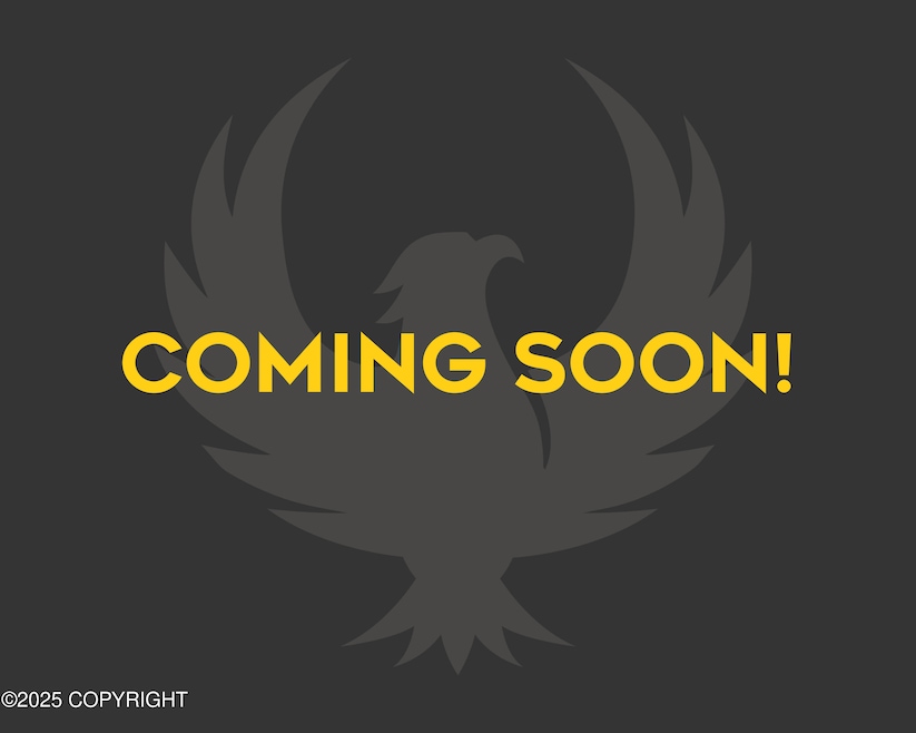 Coming Soon Firebird
