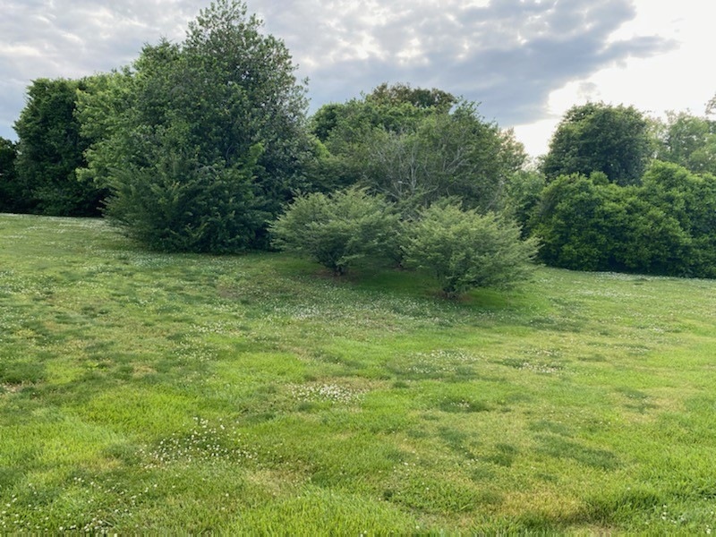 0 River Bend Rd unit 2258203, Shelbyville, TN 37160 - photo 1