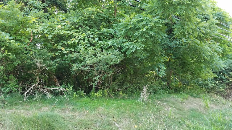 currently wooded lot but when cleared out nice bui