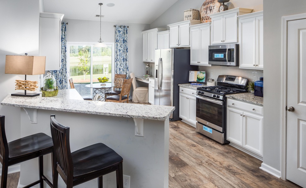 255 Firewheel Ct, Summerville, SC 29486 - photo 1