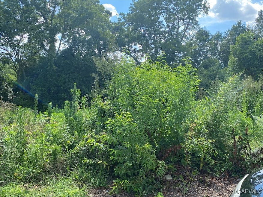 1303 Maxey St, Valley Grande, AL 36701 - photo 1