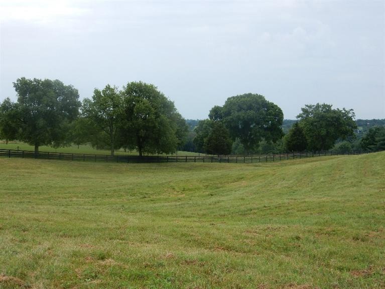 1084 Hifner Rd, Versailles, KY 40383 - photo 1