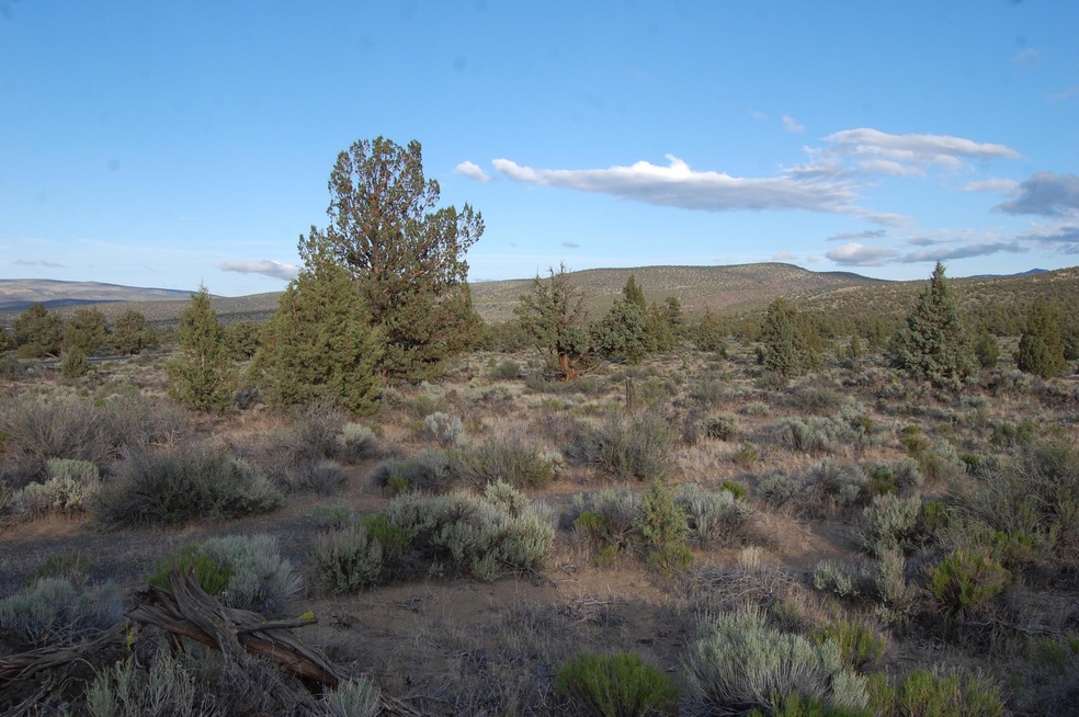 Phillips Hwy 20 1