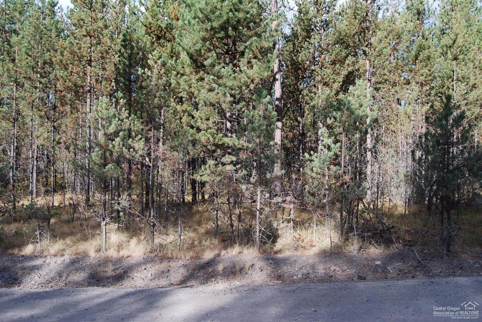 Primary Photo