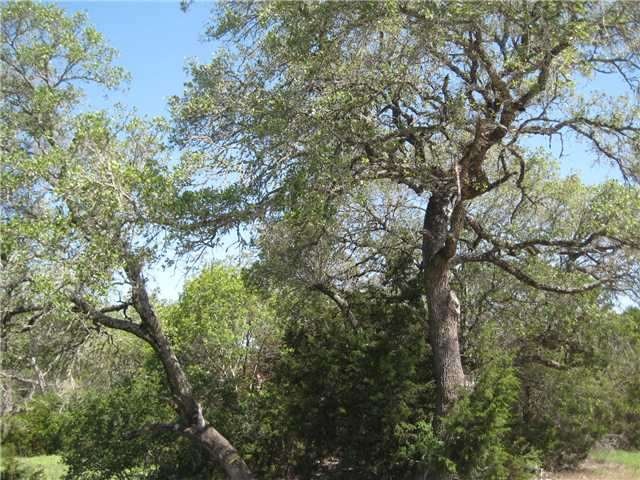 Land/Lot : This is one cluster of many mature tree