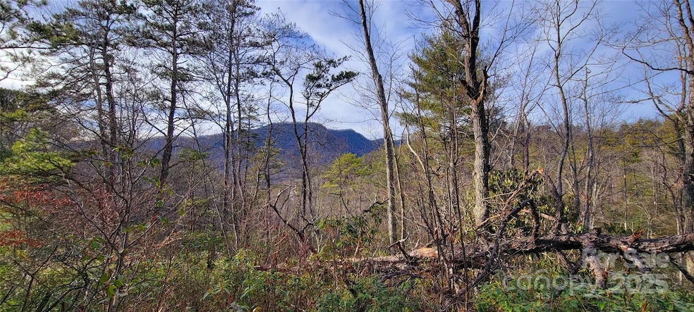 V/L Chickasaw Way unit 2B, Linville Falls, NC 28752 - photo 1