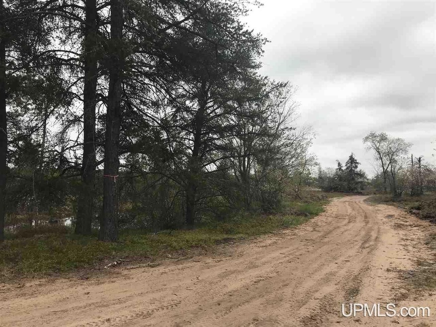 Parcel 8 Off Johnson Lake Rd, Gwinn, MI 49841 - photo 1