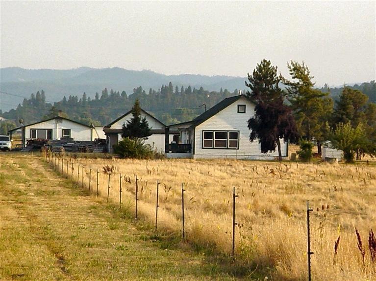 Primary Photo