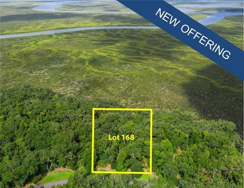 41 Hatton Ln, Saint Simons Island, GA 31522 - photo 1