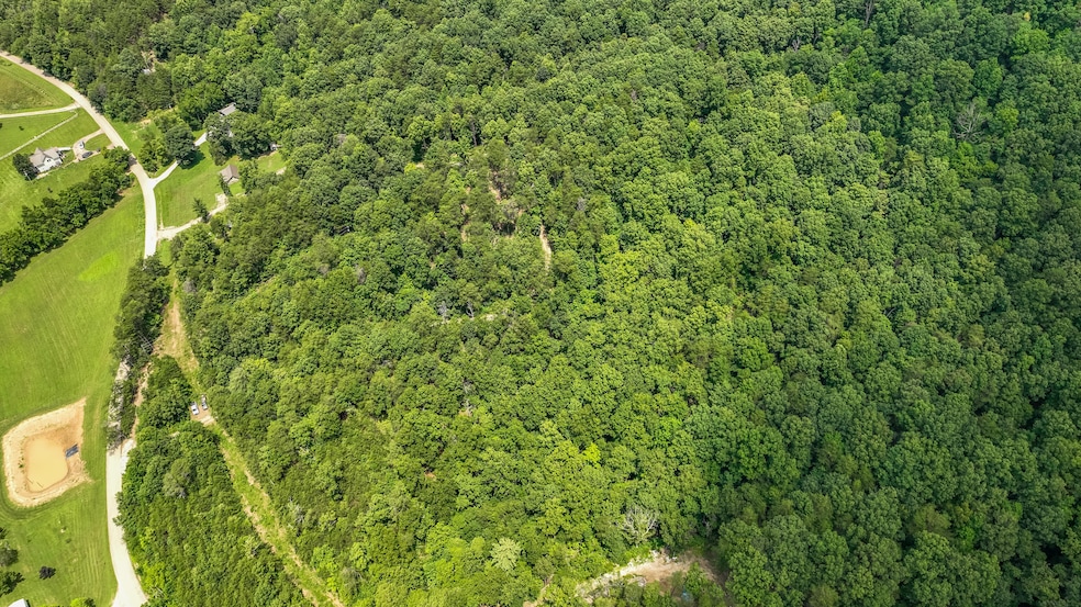 20250724015515764406000000-o