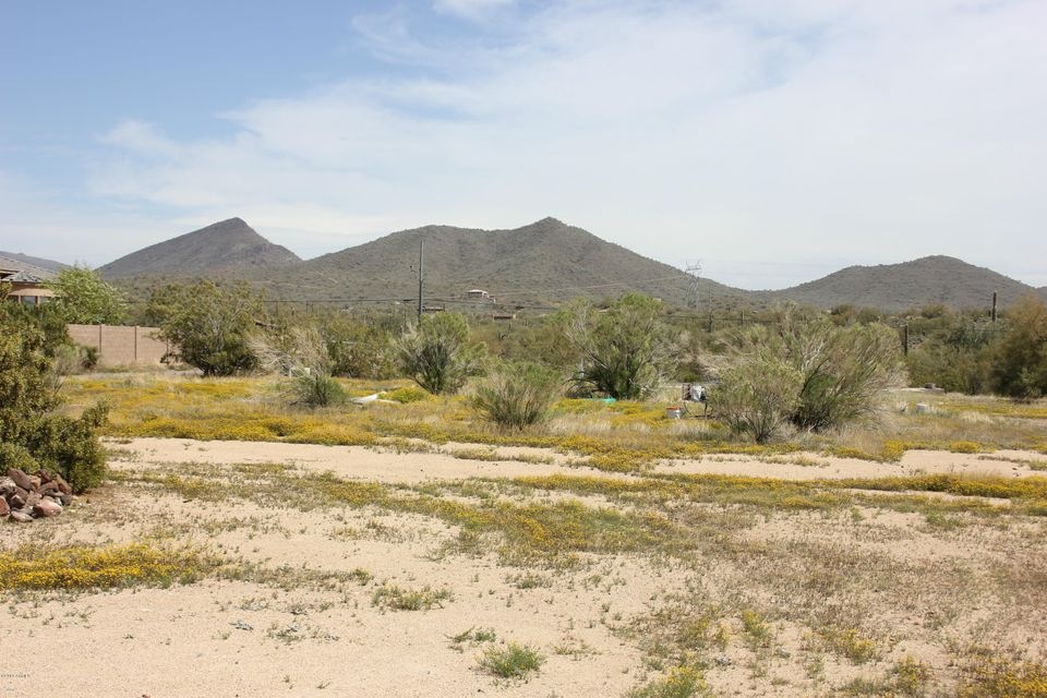 Looking at lot and to the east
