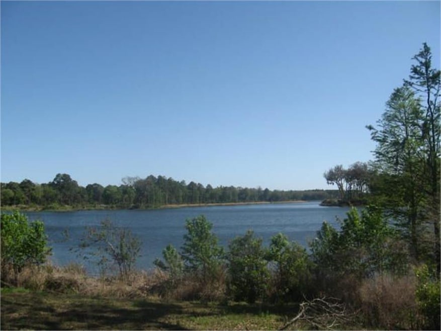15 Darien Cir, Saint Simons Island, GA 31522 - photo 1