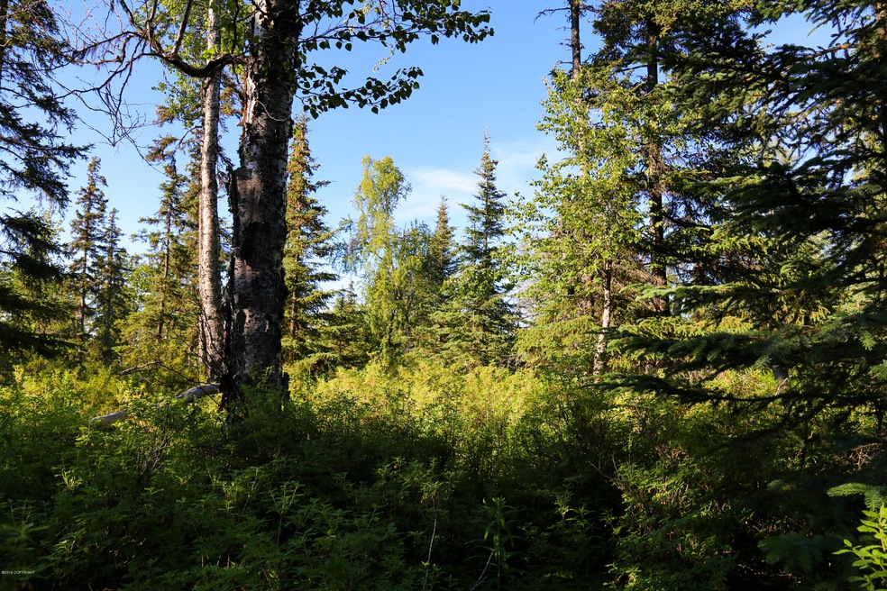 Stone River Lots-12