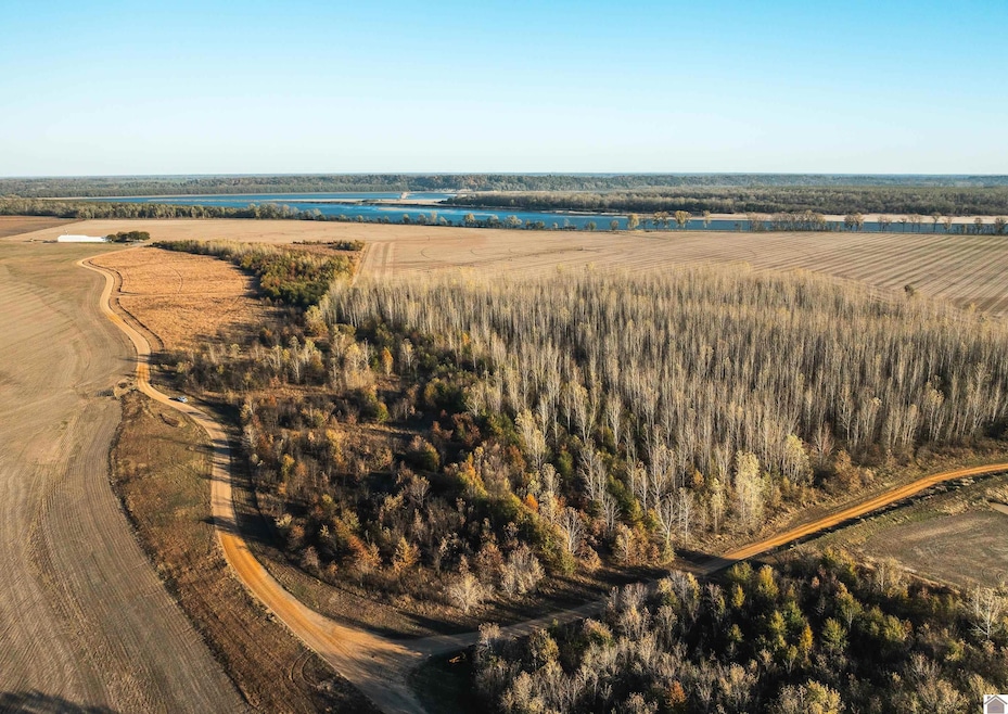 0 Wolf Island Rd, Clinton, KY 42031 - photo 1