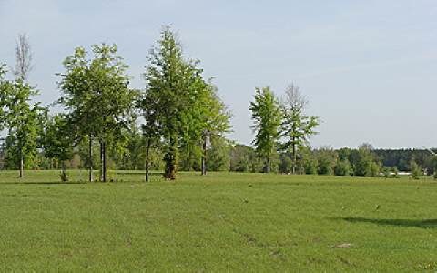 LOT67 Mandbia Dr, Lake City, FL 32024 - photo 1