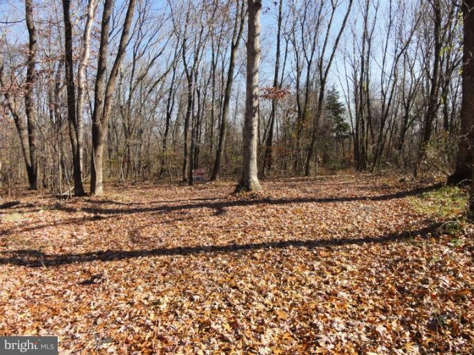 0 Mount Gilead Rd unit 1000602819, Leesburg, VA 20175 - photo 1