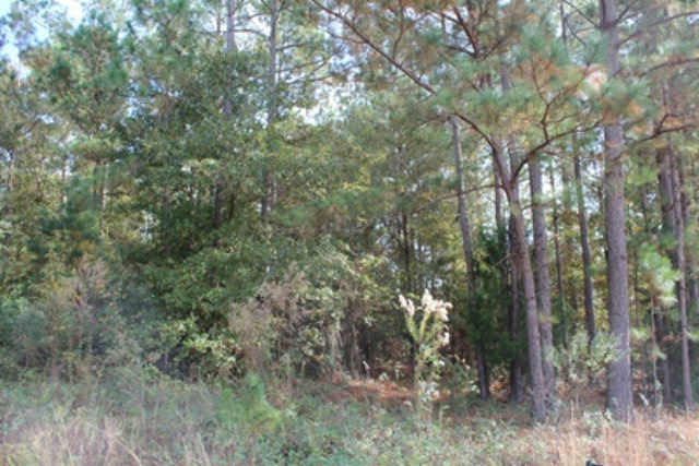 2000 S County Line Rd, Albany, GA 31705 - photo 1