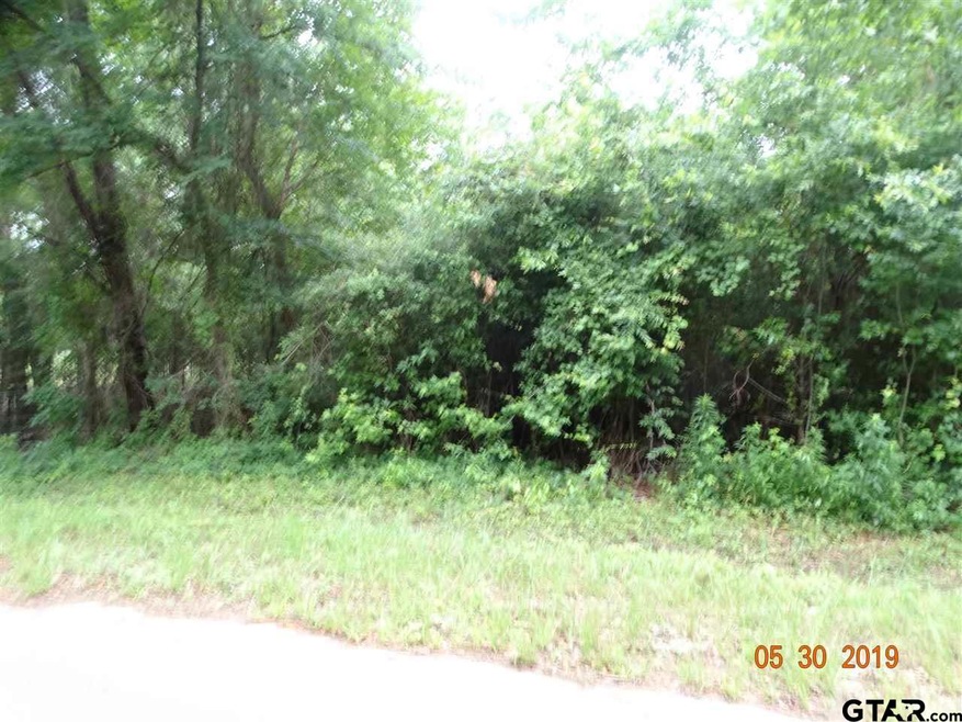 19707 County Road 234, Tyler, TX 75707 - photo 1