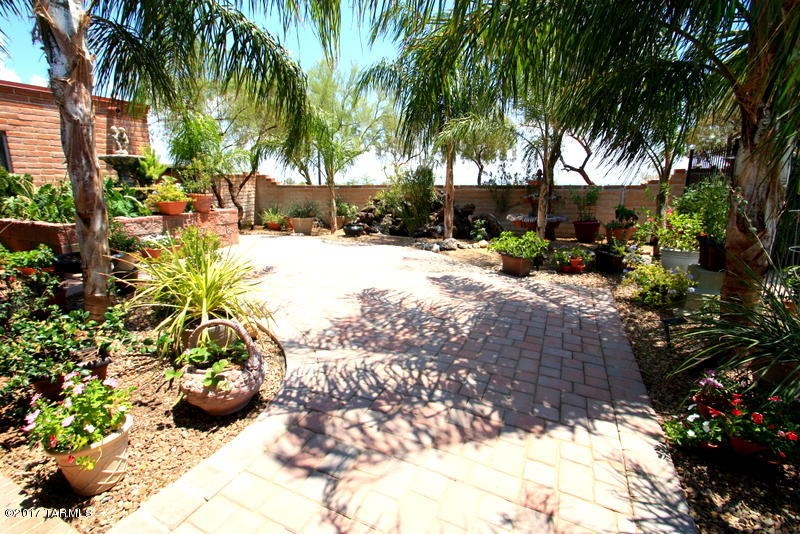 Backyard3