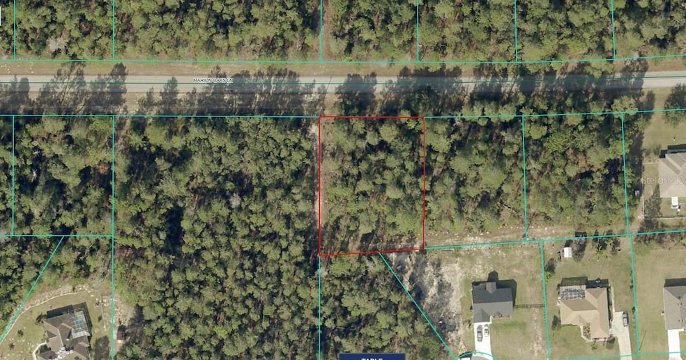 TBD Marion Oaks Ln, Ocala, FL 34473 - photo 1