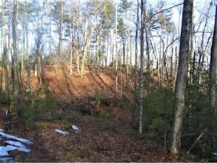 Scripps Map E-36-4 Ln unit Map E - 36 - 4, Mason, NH 03048 - photo 1