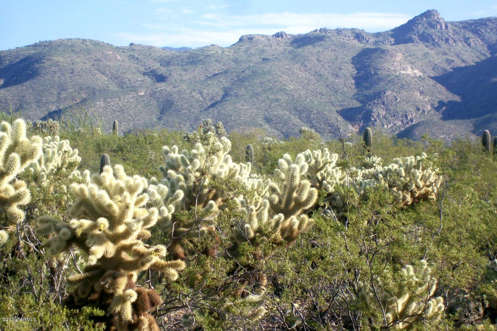 View of Catalinas from property.