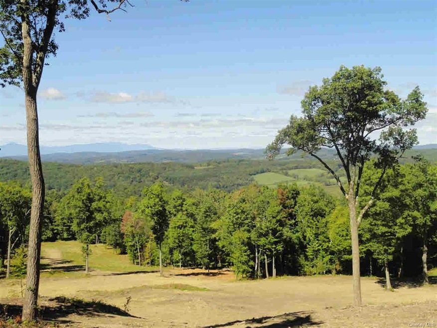 0 Skunks Misery Rd unit 344653, Pine Plains, NY 12546 - photo 1