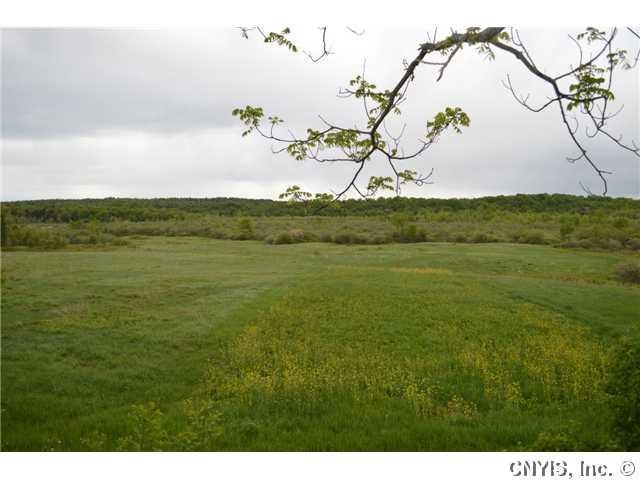 Land Food Plots