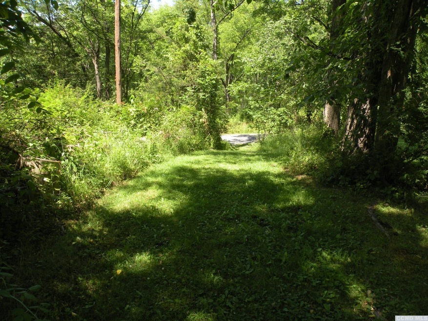 0 Adams Rd unit 144252, Coxsackie, NY 12051 - photo 1