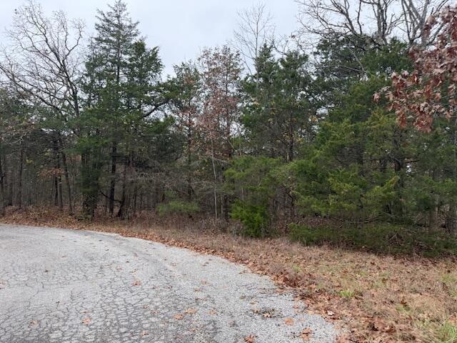 136 Lots Turkey Mountain Estates, Shell Knob, MO 65747 - photo 1