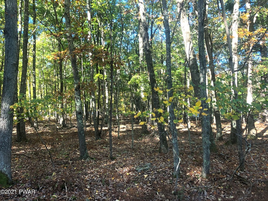 220 Tink Wig Dr, Lackawaxen Township, PA 18428 - photo 1