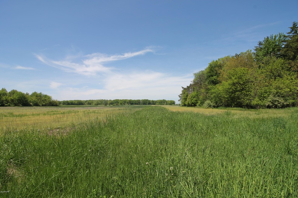 4925 Sawyer Rd, Sawyer, MI 49125 - photo 1