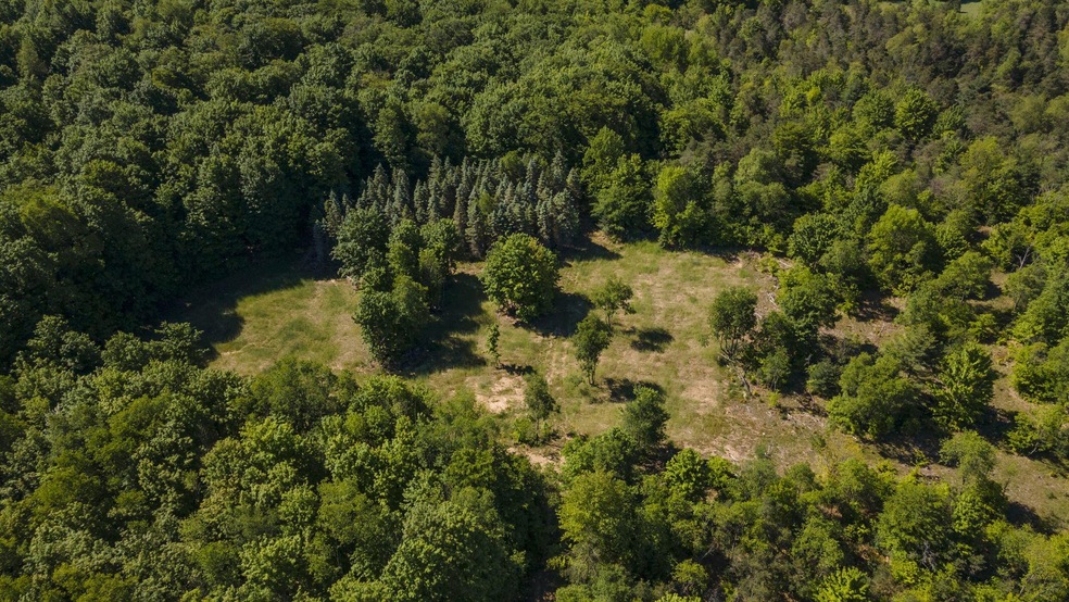 1-web-or-mls-DJI_0817