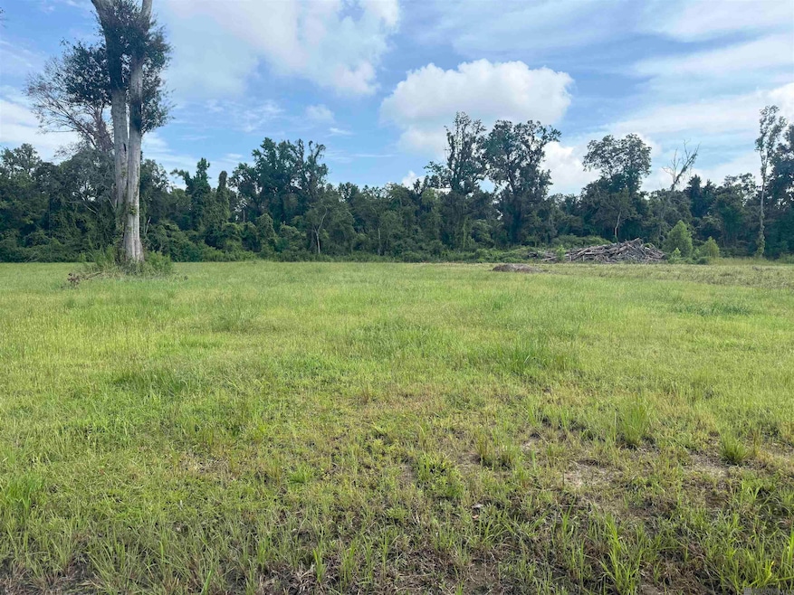 38354 N Robert Wilson Rd, Gonzales, LA 70737 - photo 1