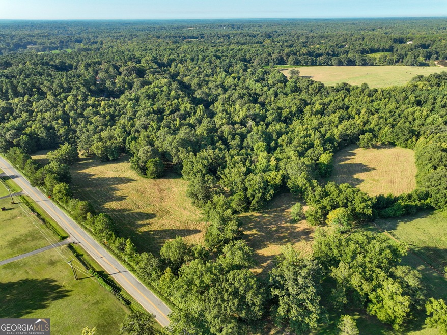 0 Yatesville Rd unit 10367507, Barnesville, GA 30204 - photo 1