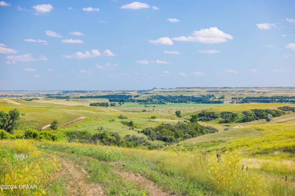 Tbd 60th Ave SW, Leith, ND 58529 - photo 1