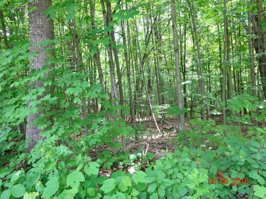 00 Old Swanzey, Chesterfield, NH 03443 - photo 1