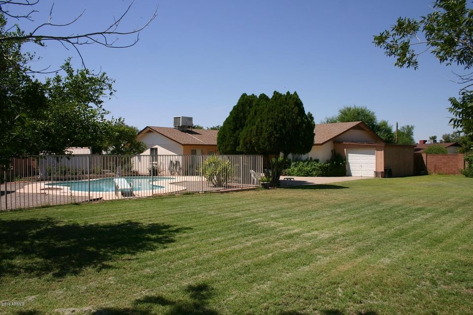 Backyard looking towards the house