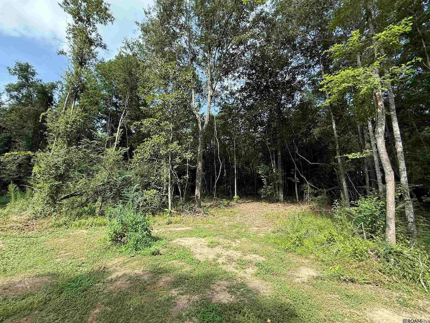 00 Montgomery Rd, Summit, MS 39666 - photo 1